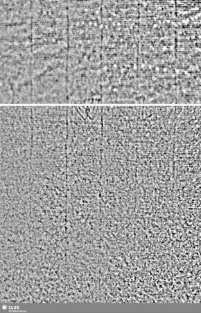 Lilienschild + IESV / LW = S.727/728+747/748