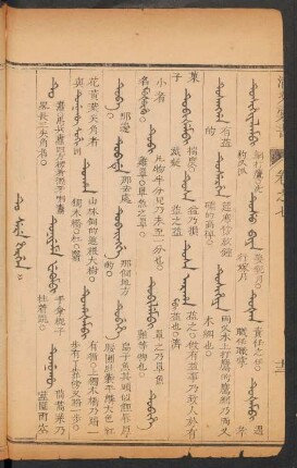 Tu - Tû