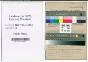 Entnazifizierung Hans Ruhe , geb. 03.08.1900 (Korrespondent)