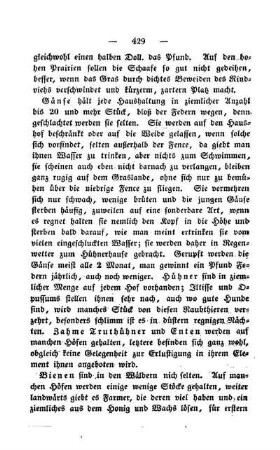 Gänse, Bienen