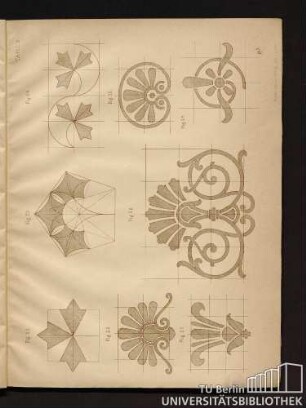 Tafel III. Fig. 22 bis Fig. 29.
