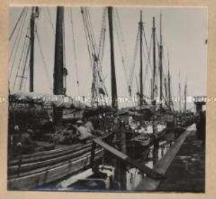 Venedig, Hafen in Chioggia