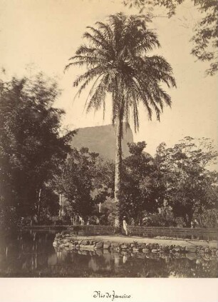 Rio de Janeiro. Botanischer Garten