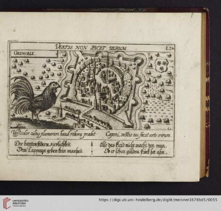 E24. Grenoble, "Vestis non facit virum"