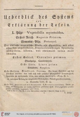 Überblick des Systemes der Pilze und Schwämme. Erklärung der Kupfertafeln