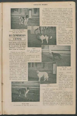 La Exposición canina