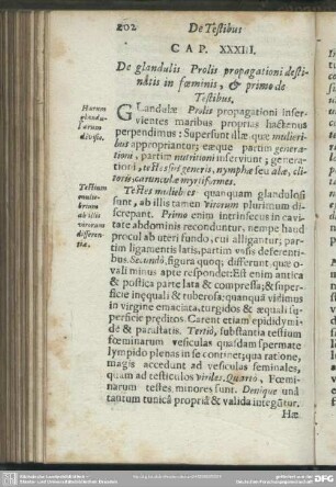 Cap. XXXIII. De glandulis Prolis propagationi destinatis in foeminis, & primo de Testibus