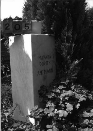 Grabstein 205