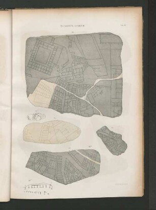 Fragmenta Vicorum.
