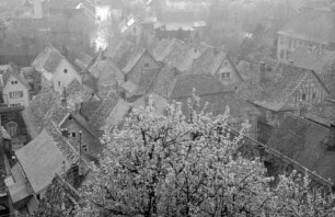Zwingenberg: Blick vom Kirchplatz auf Dächer und Blüten