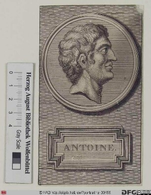 Bildnis Marcus Antonius