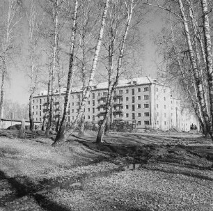 Krasnojarsk. Blick durch ein Birkenwäldchen zu einem Wohnblock