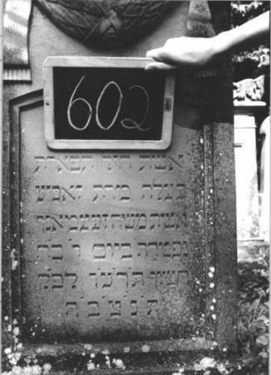 Grabstein 602 (Index: 99895336) Material: Sandstein Zustand: gut, Sockel leicht bewachsen Maße HxBxT: 154x56x21 cm Beschreibung: Stele mit Konvexbogenabschluss; Sockel Symbolik: geknickte Rose, Girlande mit Bändern: Grabstein 602 (2)