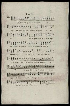 Voce (Tenor)