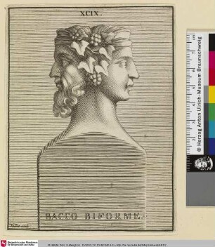 BACCO BIFORME.