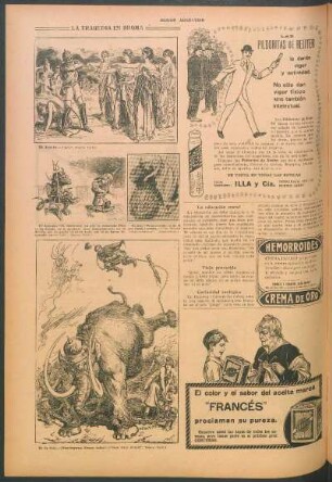 Curiosidad zoológica