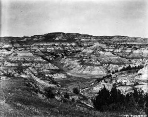 Badlands : Blick auf das durch Erosionsrinnen zerschnittene Gelände der Badlands in North Dakota.