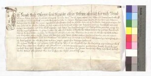 Kaufbrief von Jakob Bech, Schneider, Bürger und Untertan zu Söflingen, gegen die Witwe und den Sohn Johann Baumgartens von Söflingen um ein Stück Garten für 245 Gulden.