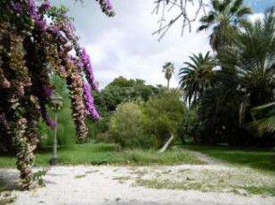 Rom: Orto Botanico/Botanischer Garten