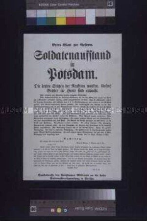 Soldatenaufstand in Potsdam. Extra-Blatt zur Reform. Bericht über den Soldatenaufstand in Potsdam und Dankadresse des Potsdamer Militärs an die Preußische Nationalversammlung; undatiert
