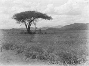 Landschaft : Landschaft entlang der Straße von Dodoma nach Iringa