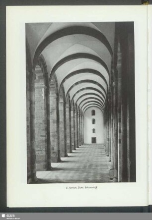 Speyer, Dom, Seitenschiff