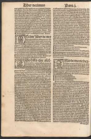 Incipit liber decimus de assumptione beate Marie.