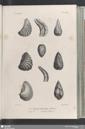 Pl. 288