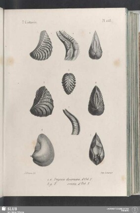 Pl. 288