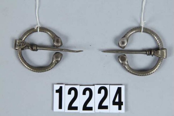 two fibulae (pair)