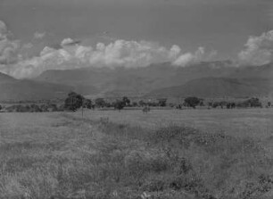 Hochebene : Graslandschaft mit einzelnen Bäumen auf einer Hochebene bei Dese