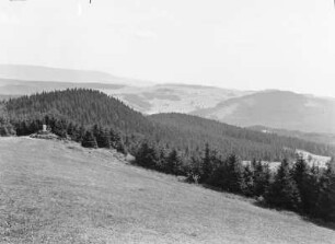 Wald : Blick vom Pleßberg über eine bewaldete Landschaft