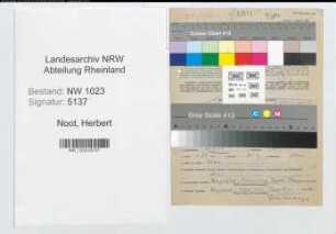 Entnazifizierung Herbert Noot , geb. 23.05.1909 (Kaufmann)