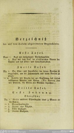 Verzeichniß der auf den Tafeln abgebildeten Gegenstände