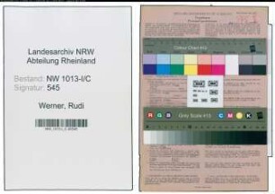 Entnazifizierung Rudi Werner , geb. 05.12.1909 (Kaufmann)