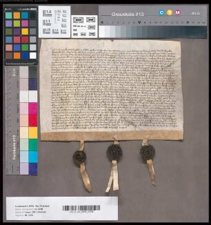 Revers Borchards Stecke von der Lüttekenhove gegen die Anpachtung des Oberhofs Ringeldorf und des Ringeldorfer Sundern.