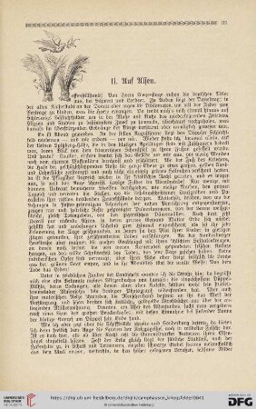 II. Auf Alsen