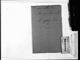 Austrocknung und Urbarmachung des Laufener Sees (1819-1855)