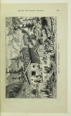 14. Alp im Hochgebirge