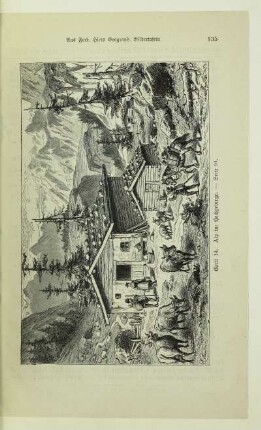 14. Alp im Hochgebirge