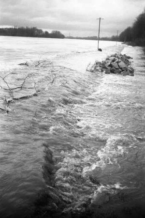 Rheinhochwasser zwischen Rappenwört und Neuburgweier.