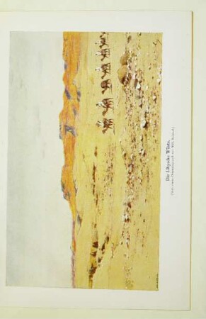 Die Libysche Wüste
