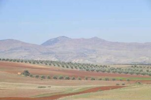 Meknes - Landschaft mit Ackerflächen : Landschaft mit Ackerflächen in der Nähe von Meknes, aufgenommen am 28. Oktober 2010