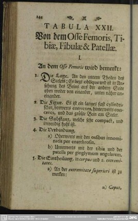 Tabula XXII. Von dem Osse Femoris, Tibiae, Fibulae & Patellae