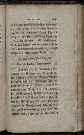 Ein und zwanzigstes Kapitel. Das fürchterliche Donnerwetter.