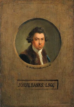 Der Botaniker Joseph Banks