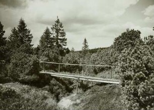 Zinnwald-Georgenfeld, Hochmoor, Fußgängerbrücke
