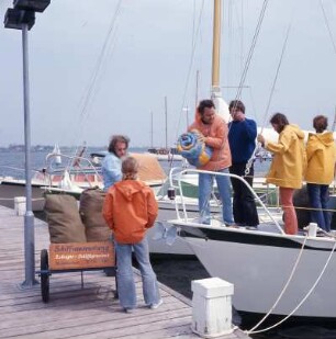 Fehmarn. Jachthafen : Segler im Jachthafen
