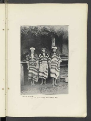 Plate LXXI.