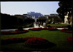Salzburg: Mirabell-Garten, Hintergrund rotes Blumenbeet